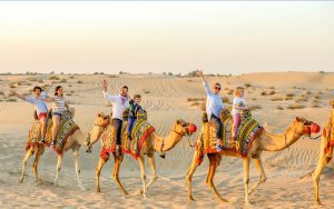 peaceful camel riding