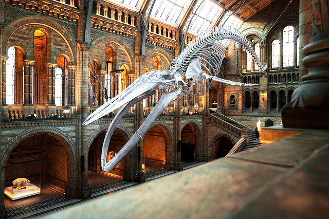 national Museum of dubai