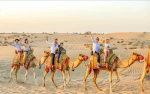 tourists enjoying morning  camel riding desert  adventure