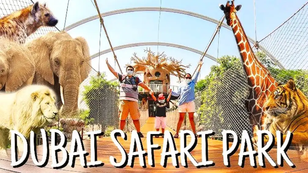 tourist enjoying wild safari park dubai