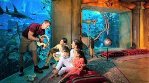 tourist enjoying exploring lost chamber aqurium