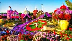 a stunning view of beautiful miracle garden in dubai