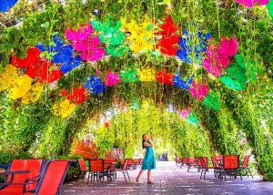 a young girl enjoying in dubai butter fly garden