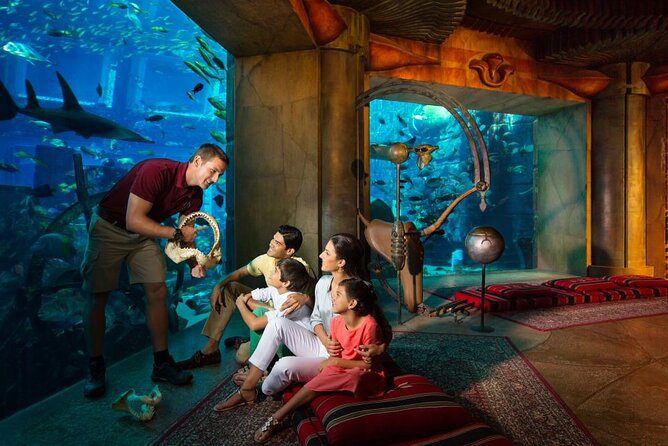 lost chamber aquarium