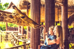 a woman with child having fun with giraffe