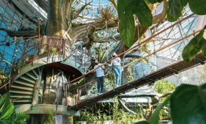 a wonderful view of tropical rain forest green planet